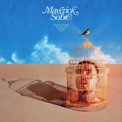 Maverick Sabre "Don't Forget To Look Up"