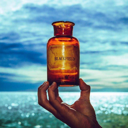 Blackfield "V LP"