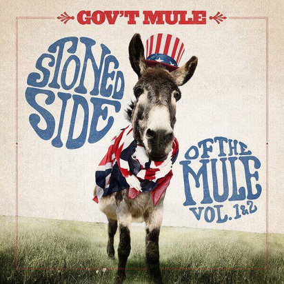 Gov't Mule "Stoned Side Of The Mule"