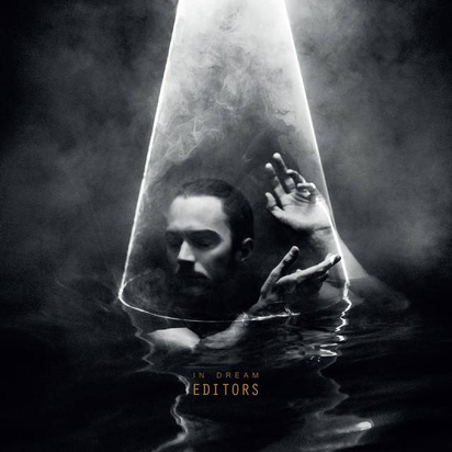 Editors "In Dream Lp"