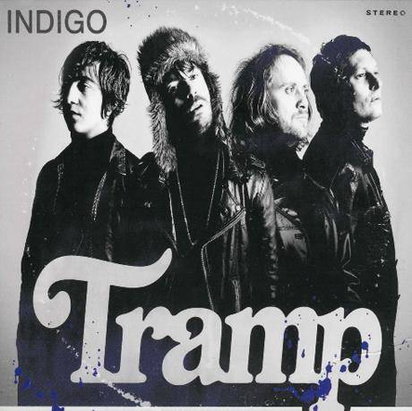 Tramp "Indigo"