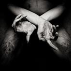 Shining "X Varg Utan Flock"