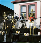 Oso Oso "Life Till Bones LP"