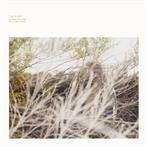 Luke Temple "A Hand Through The Cellar Door Lp"