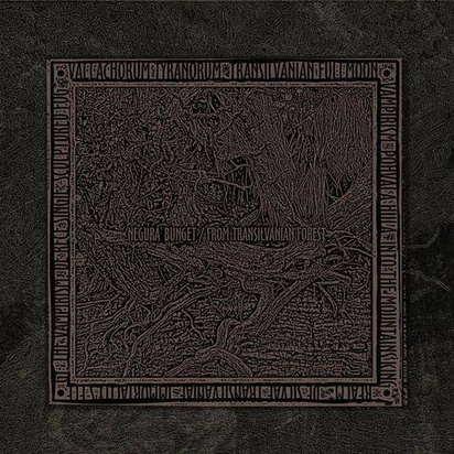 Negura Bunget "From Transilvanian Forest"