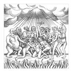 Theraphosa "Inferno"