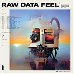 Everything Everything "Raw Data Feel LP PINK INDIE"