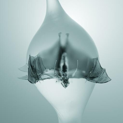 Unprocessed "Angel LP SPLATTER"